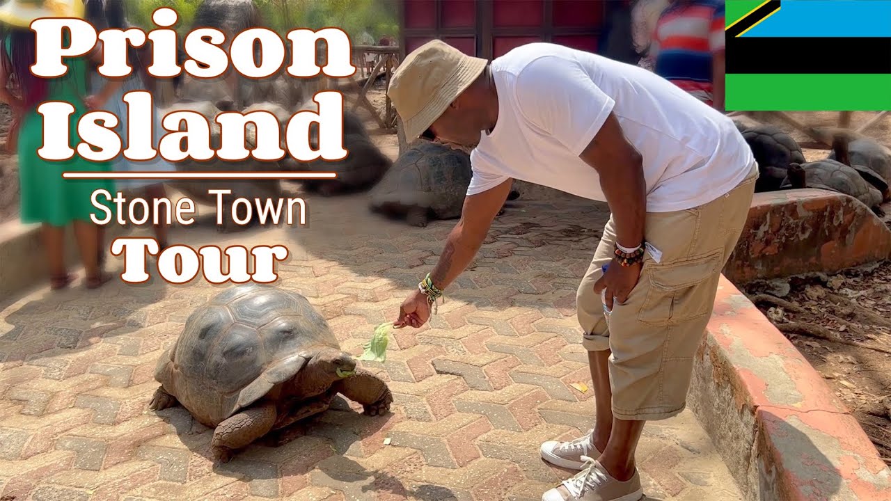 Prison Island and Stone Town | Zanzibar