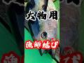 大物用【漁師結び】船長がゆっくり作成✨#knot #fishing #漁師