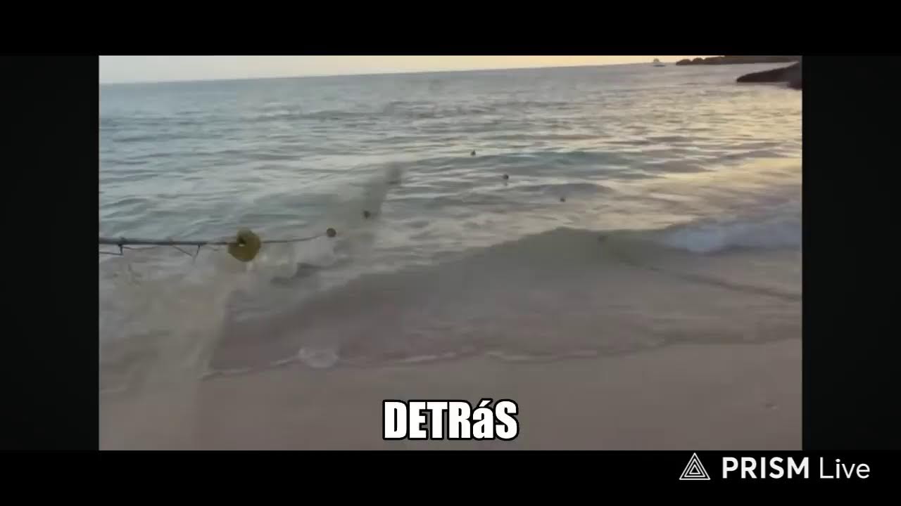 Transmisión en directo de TV MAN manda saludos