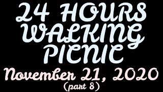 F1NN5TER 2020-11-21 Stream (part 8): 24 HOURS WALKING PICNIC