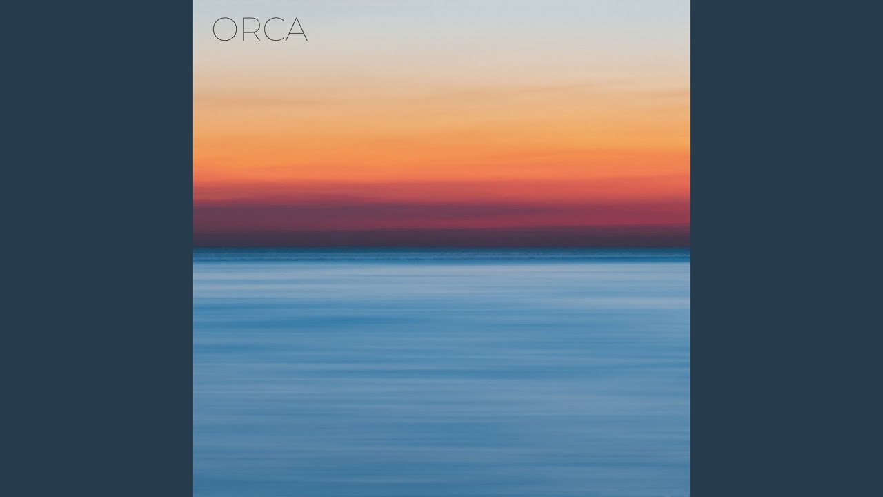 Orca auf YouTube ansehen Orca auf YouTube ansehen