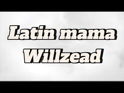 Latin Mama Willzead Lyrics 