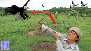 Cao Thủ Bắn Chim Như MA QUỶ NHẬP HỒN .Săn Bắn Chim Bằng Chạng Ná Thun . Bird Hunting With Slingshot