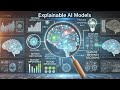 Did you know explainable AI models help us understand how and why decisions are made?