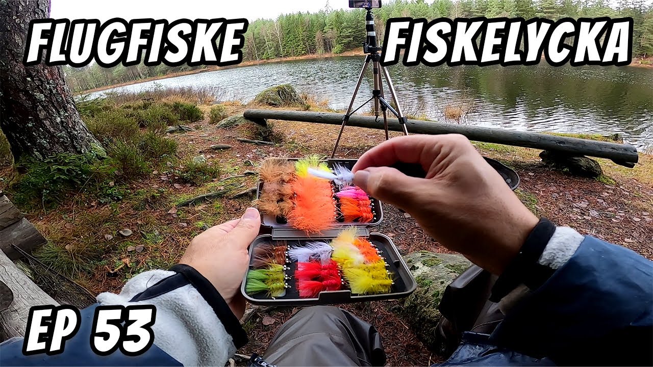 Galet Flugfiske Innan Vintern | Fiskelycka | Ep 53