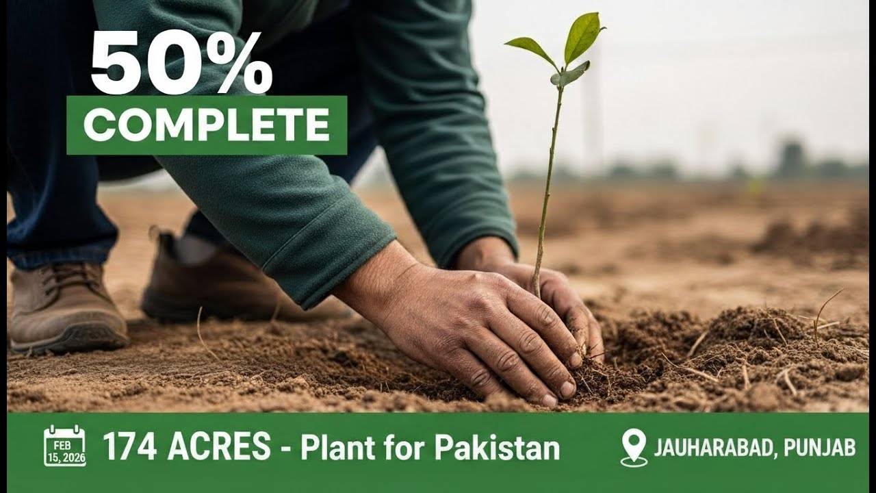 Massive Tree Plantation Drive in Jauharabad | F&W, Punjab