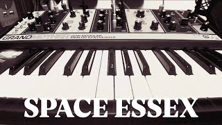 Grandmother | Moog | SPACE ESSEX reference patch by Lisa Bella Donna