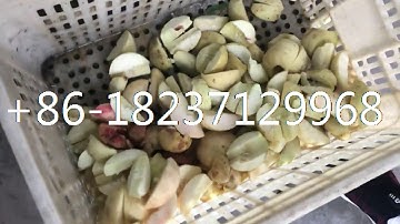 commercial peach pit destoner splitter plum stone remover prune seed pitting removing machine