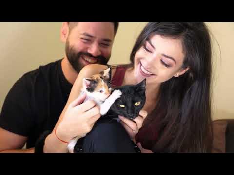 How to keep your pet healthy - Myfurryfriends