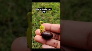 Main Scientist Ban Gayi! Lotus Seed Germination Experiment #youtube #gardening #sowingseeds