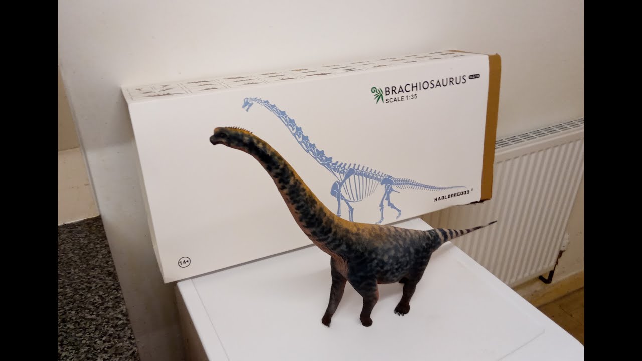 🦕 BRACHIOSAURUS (Haolonggood) model review ✅