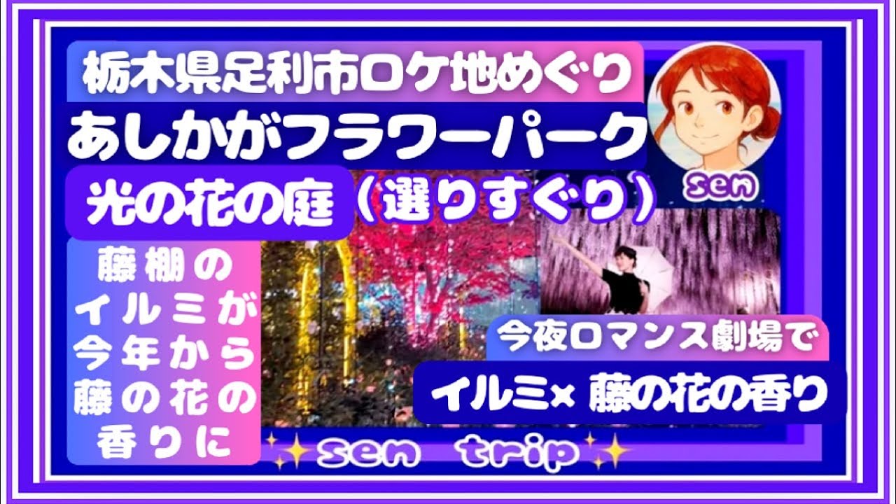 あしかがフラワーパーク（選りすぐり）全国1位のイルミ　　藤棚イルミの香りに癒される　#あしかがフラワーパーク  #イルミネーション　#ロケ地    