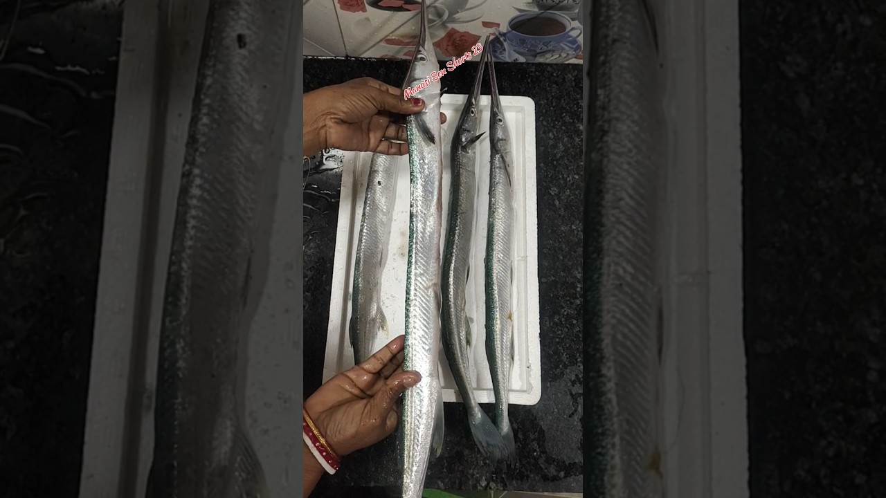 Garfish Recipe//Needle fish Recipe 👌🔥