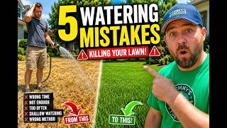 Watering Your Lawn This Summer? Stop Making These 5 Costly Mistakes