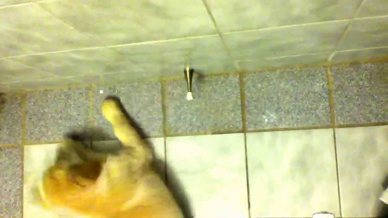 Dog attacks door stopper!!!!