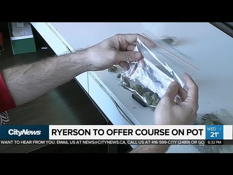 ryerson-launching-'business-of-cannabis'-course