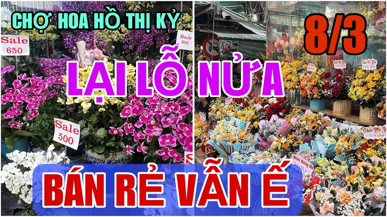 Tập 3009 LẠI LỖ NỬA BÁN RẺ VẪN Ế CHỢ HOA 8/3