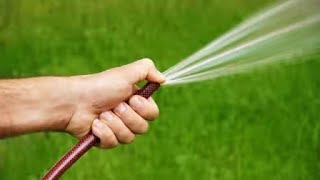 Desafio Da Mangueira