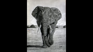 Hyperrealistic ELEPHANT drawing Tutorial|Graphite Pencil Drawing| HYPERREALISM|Quick Timelapse Video