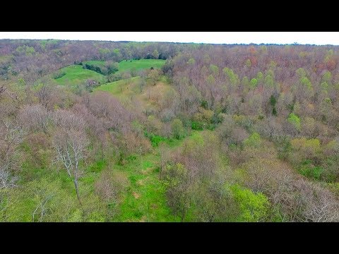 544 Spencer Ridge Rd, Lynchburg, TN home video tour