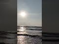 🌊
