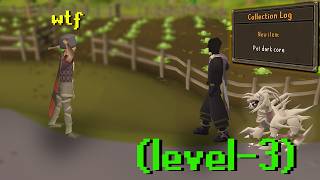 Is This the FIRST Level-3 with a Corp Pet?