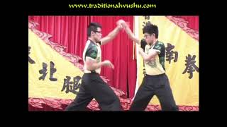 Mantis Basics, Drills, partner training, form excerpts