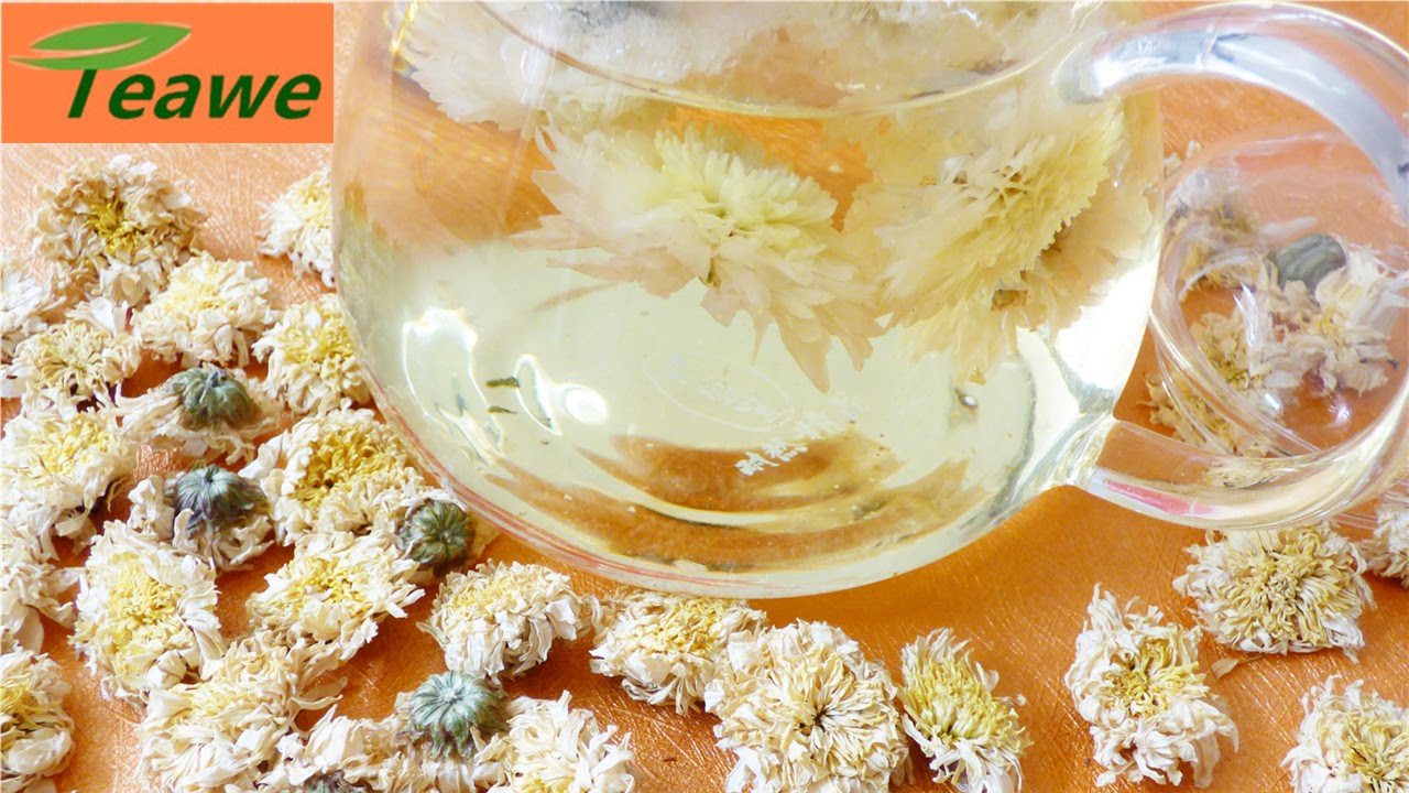 Gong Chrysanthemum Flower Herbal Tea Benefit for Liver and Eyes YouTube