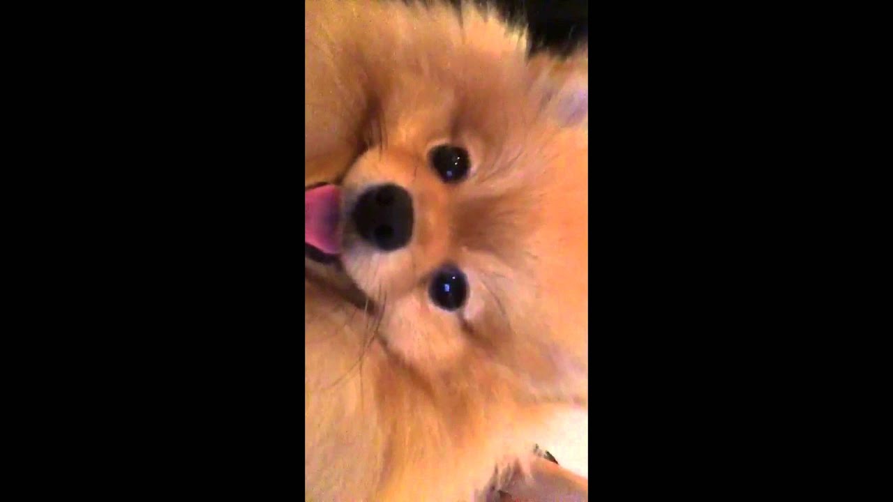 Madison Beer Snapchat Story 21 December 2015 - 3 January 2016