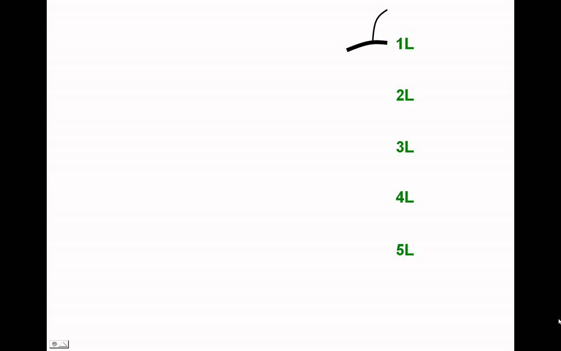 INERVACION DE MIEMBRO INFERIOR 1 — Transcript