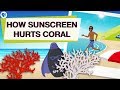 Sunscreen and Coral Reefs: Understanding the Impact
