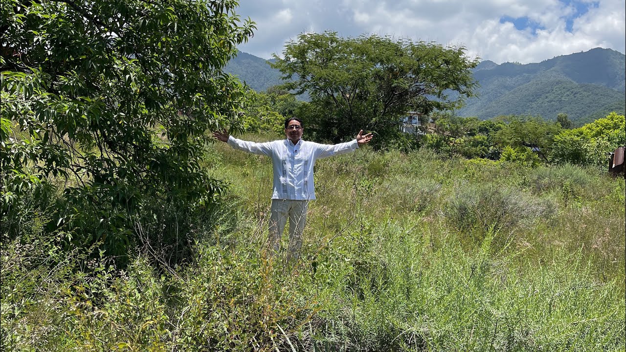 Hermoso Terreno en San Andrés Huayapam, Oaxaca. - YouTube