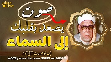 تلاوة نادرة من عالم آخر # يصعد بقلبك |إلى السماء هذا القارئ ❤️👌🥹