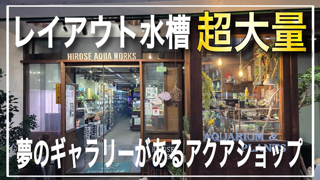 古い ブリキの水槽 ディスプレイに アンティークブリキ水槽