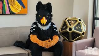 #WeAreIFC Interview | Chairman, Storm Gryphon