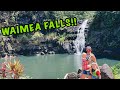 Our first Hawaii WATERFALL!