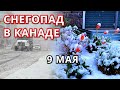 Снег в Канаде 9 мая 2022. Месть зимы в Сша. Изменение климата 2022.