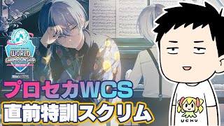 【プロセカ】疑似ランクマ特別編　プロセカCS大会直前！社築チーム大将！特訓するぞ！！+嬢王初見【にじさんじ/社築】