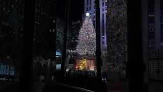 🎄 25 Days of Christmas- NYC pt. 2! #christmas #newyork #christmas2023