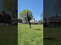 Taekwondo X Tricking #shorts #martialarts