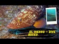 Diving In El Hierro - La Restinga