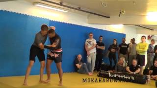 Dgl Dgl 2017 Sebastian Peek Renegade Mma.. Vs Stephane Fofana Renegade Mma..