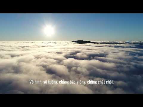 Nhìn vào hư không I likeatree.space