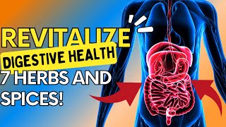 Transform Your Gut Health with These 7 Supercharged Herbs and Spices! Herbs Spices Nutrition Tier List Gut Instincts