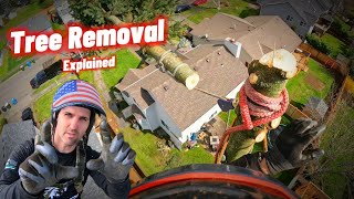 How Tree Removal Works | Tips & Tricks For Everyone