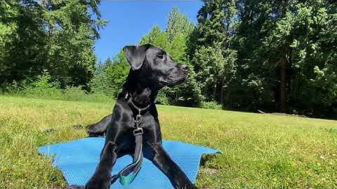 The Engage/Disengage Protocol starring Kate