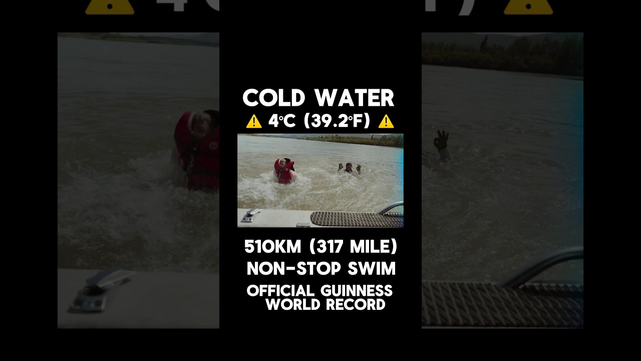 World Record: Yukon 510km (317 mile) Swim: FULL VIDEO NOW LIVE