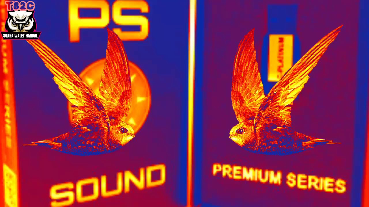 Sp Calling Premium Sound Gold