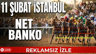 Net Bankolu 11 Şubat 206 İstanbul At Yarişi Tahmi̇nleri̇
