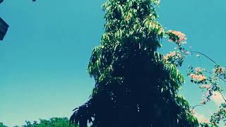 KEINDAHANMU - BOBY BM ( official video )